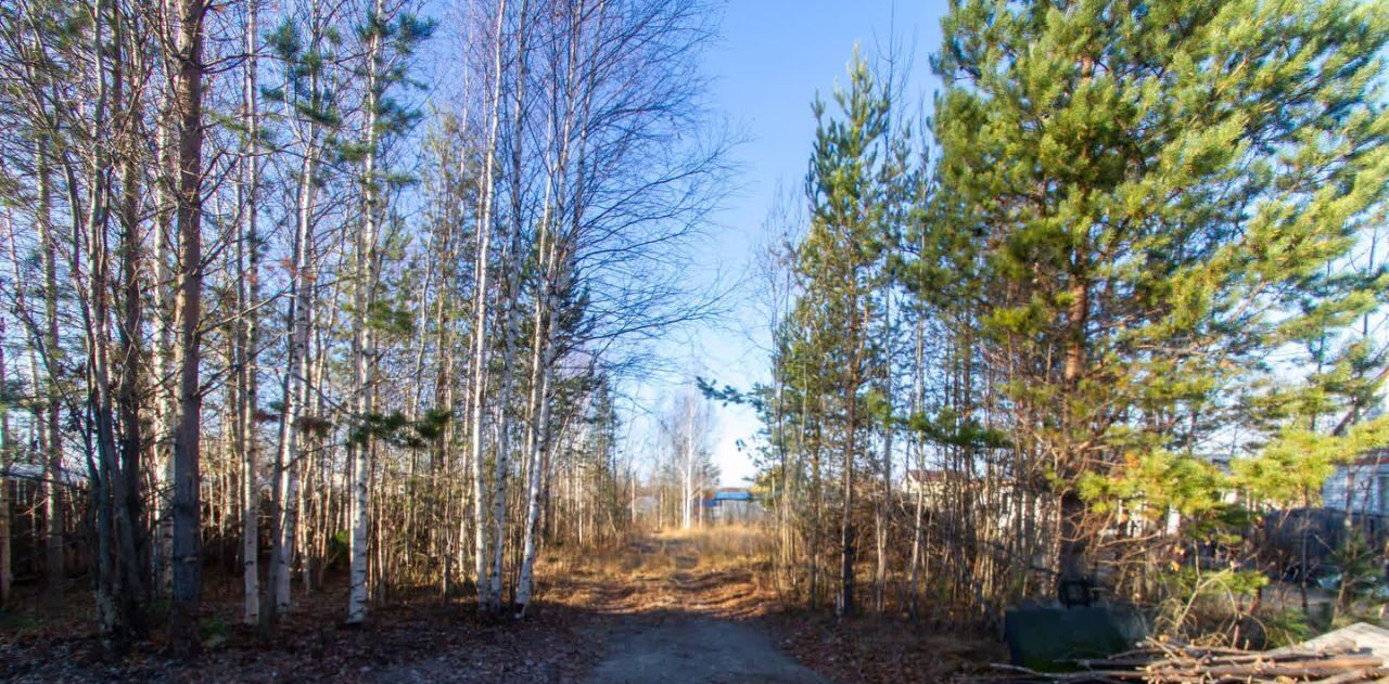 земля г Сургут № 6 Витамин потребительский садово-огороднический кооператив, 1-я линия, 6 фото 16