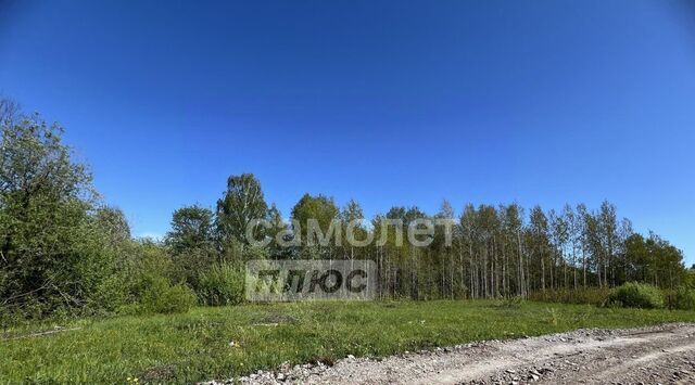 земля снт Никитино ул Рыбацкая ДНТ фото