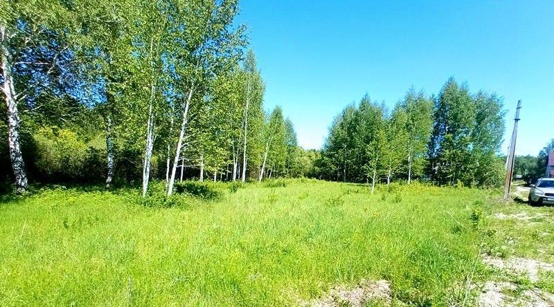 земля г Пенза р-н Железнодорожный Камыши садовое дачное товарищество фото 4