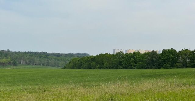 Нижнемедведицкий сельсовет, Курск фото