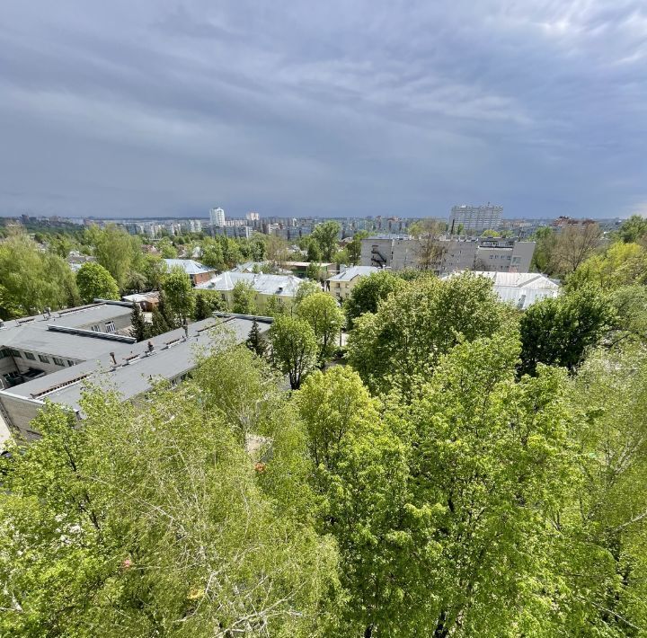 квартира г Тула р-н Зареченский ул Комсомольская 191к/1 фото 13
