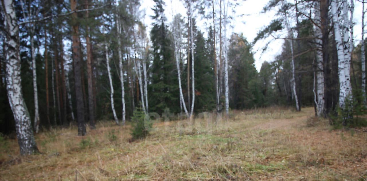 земля г Кушва п Орулиха ул Лесная 30 Кушвинский муниципальный округ фото 21