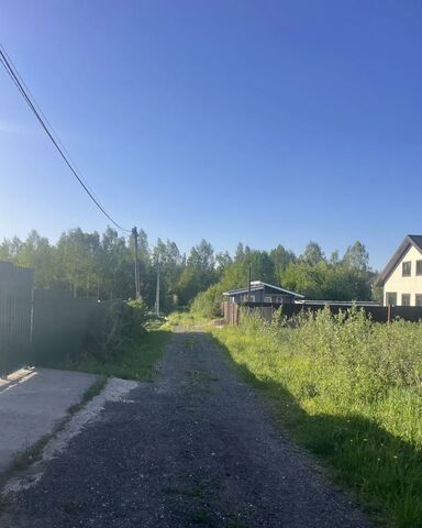 46 км, садовое товарищество Земля, 31, Минское шоссе фото