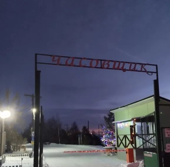 дом г Челябинск снт Часовщик ул Набережная 9 Копейский городской округ фото 2