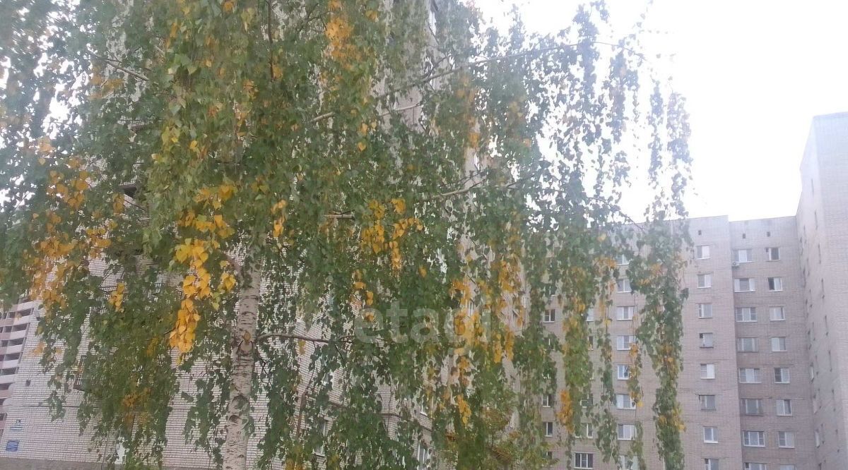 комната г Владимир р-н Фрунзенский ул Почаевская 2б фото 3