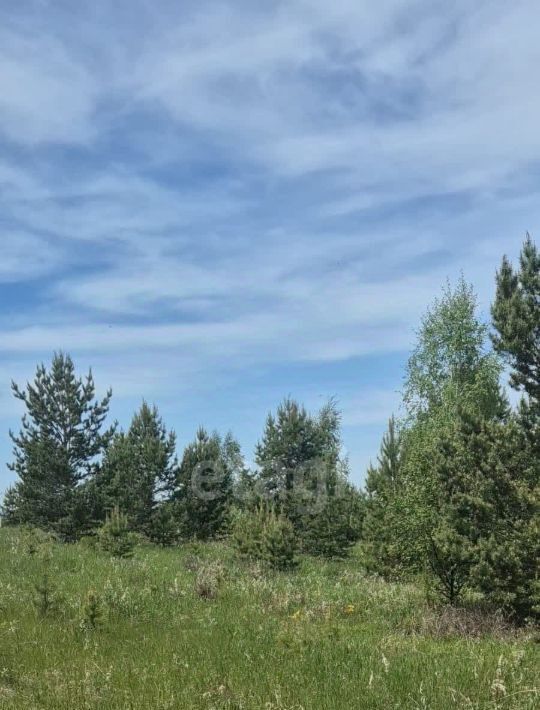 земля р-н Сысертский г Арамиль р-н мкр Теплое поле фото 2