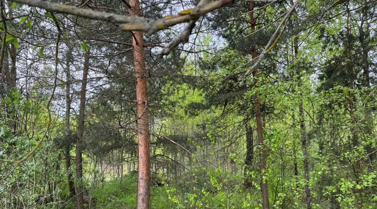 офис городской округ Богородский г Электроугли Железнодорожная фото 3