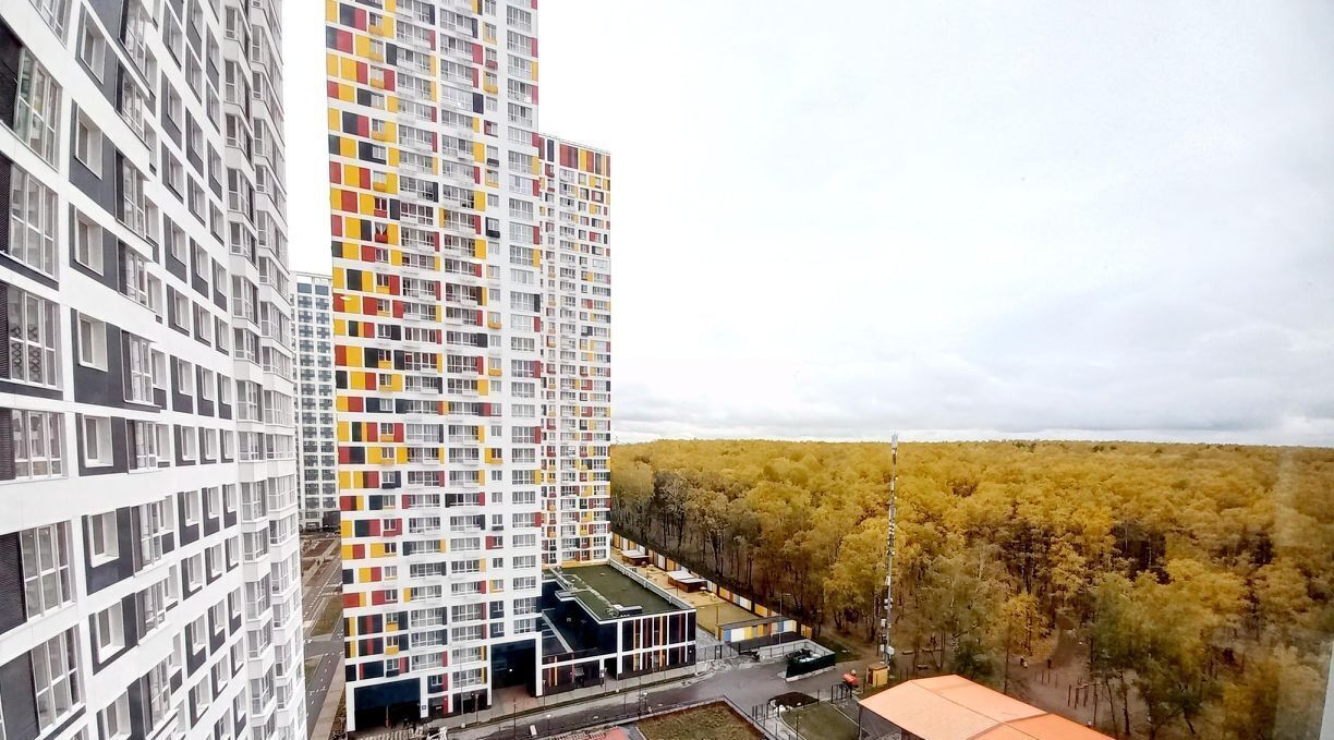 квартира г Красногорск ул Липовой Рощи 6к/2 Строгино фото 13