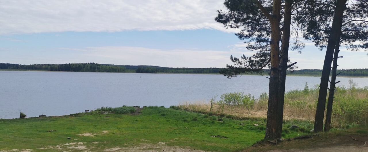 земля г Верхний Уфалей п Чусовской Верхнеуфалейский г. о. фото 17