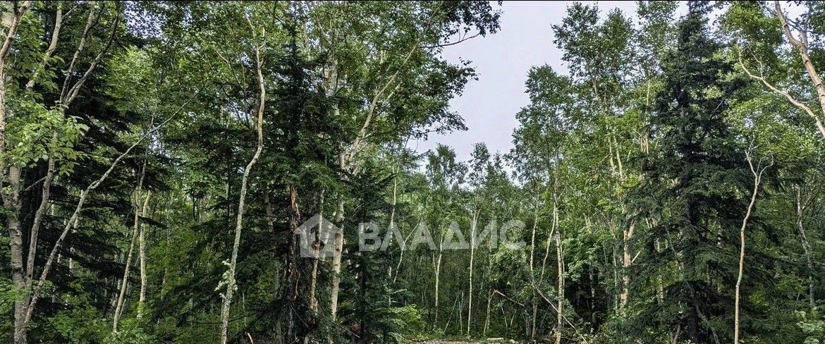 офис г Южно-Сахалинск кв-л Весточка Анивский городской округ фото 2