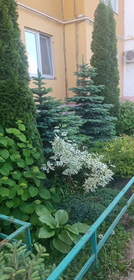 квартира г Саратов р-н Кировский Солнечный 2 ул им Тархова С.Ф. 45а ЖК «7-й мкр.» фото 10