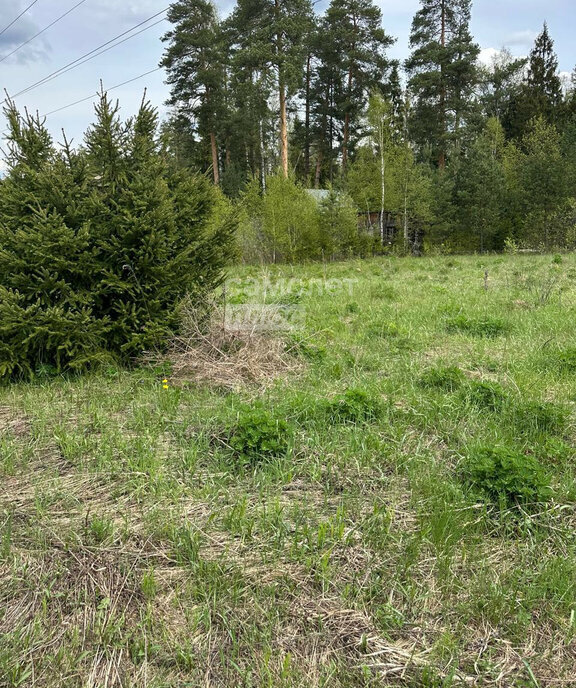 земля г Черноголовка снт Крона фото 20