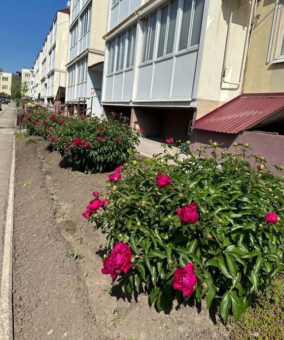 квартира г Самара р-н Кировский Безымянка ул Демократическая 170 фото 5