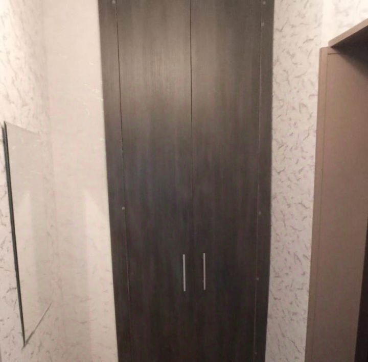 квартира г Омск р-н Центральный ул Багратиона 17а пос. Амурский фото 13