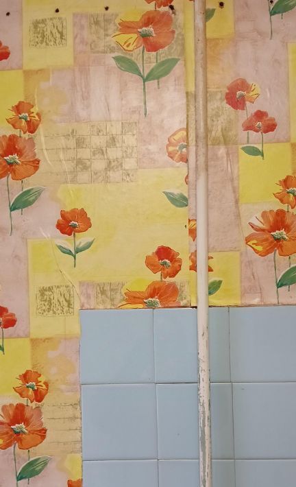 квартира г Пермь р-н Орджоникидзевский ул Вильямса 2а фото 4