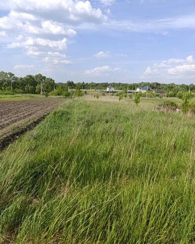 ул Речная 95 км, Коломна, Новорязанское шоссе фото