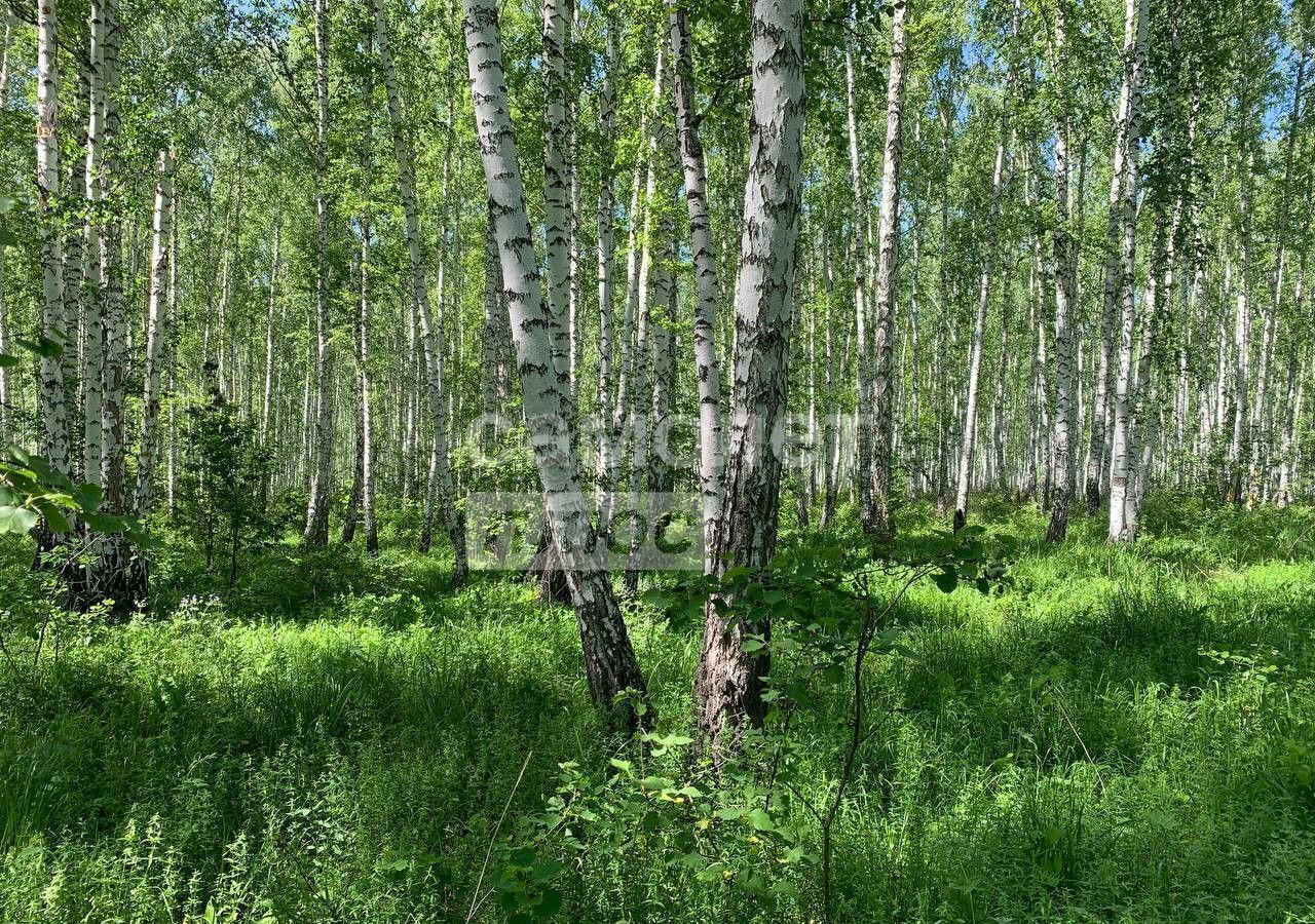 земля г Челябинск снт Кооператор Аргаяшский округ, Акбашевское сельское поселение, 33-я ул., 1693, садовый, Кировский-2 фото 4