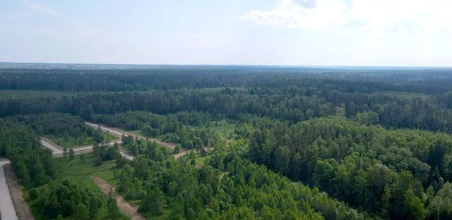 д Вторая Алексеевка ул Заповедная 34 км, Красноармейск, Фряновское шоссе фото