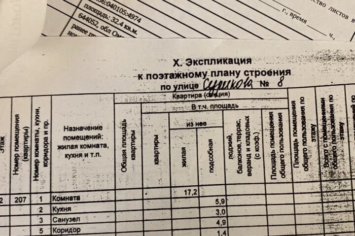 квартира г Омск р-н Центральный ул Сурикова 8 посёлок Амурский фото 17
