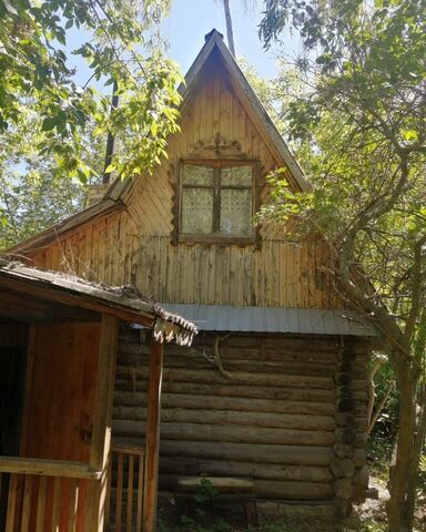 р-н Автозаводский Кунеевский лес фото