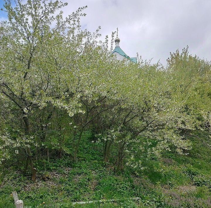 дом г Нижний Новгород Ленинская Слобода с/пос, ул. Почтовая, 16 фото 9