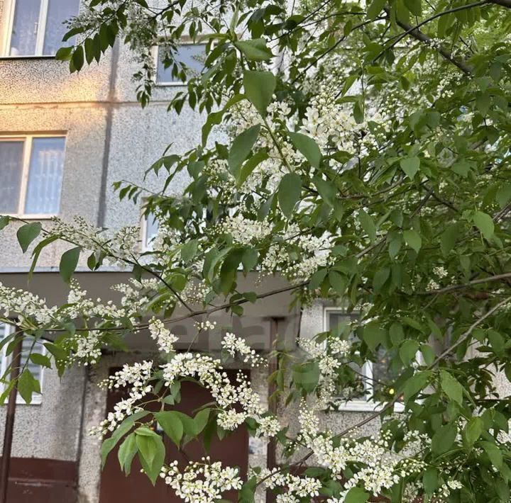 квартира г Новодвинск ул Солнечная 19 фото 21