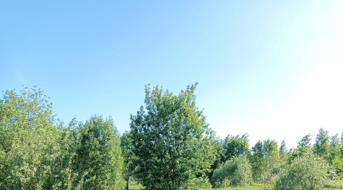 земля г Наро-Фоминск тер Луговое 247, Наро-Фоминский городской округ фото 1