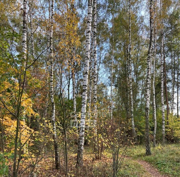 земля городской округ Богородский г Ногинск снт Овощевод ул Центральная Железнодорожная фото 5