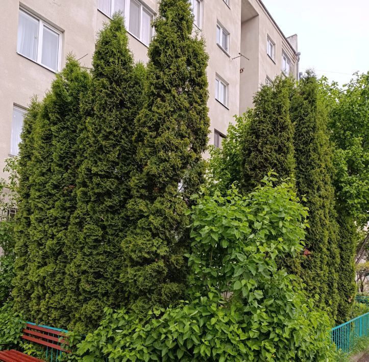 квартира г Кисловодск пер Школьный 39 фото 14