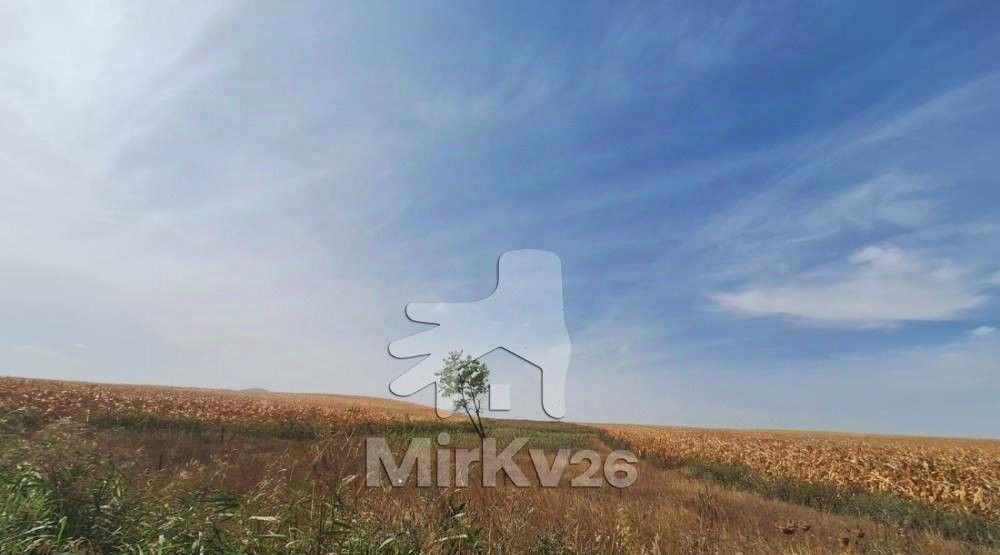 земля г Пятигорск ст-ца Константиновская ул Ленина 11 фото 2