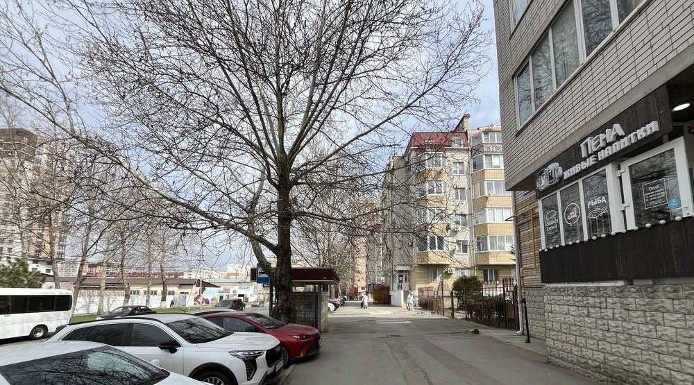 свободного назначения р-н Анапский г Анапа ул Лермонтова фото 2