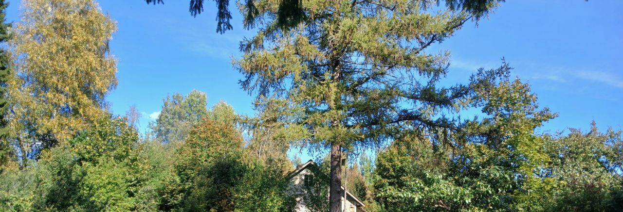 земля г Зеленогорск Курортный ул Загородная 14а фото 40