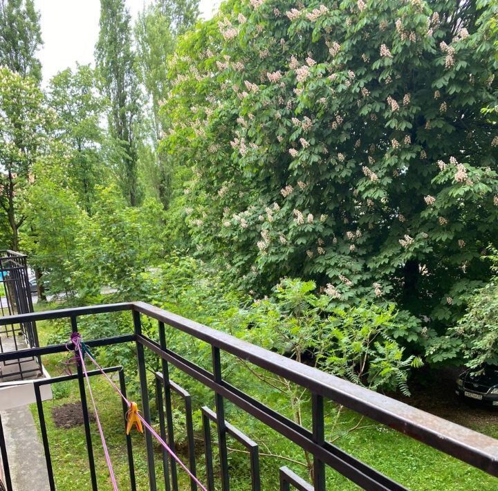 комната г Калининград р-н Центральный ул Г.Димитрова 35 фото 6