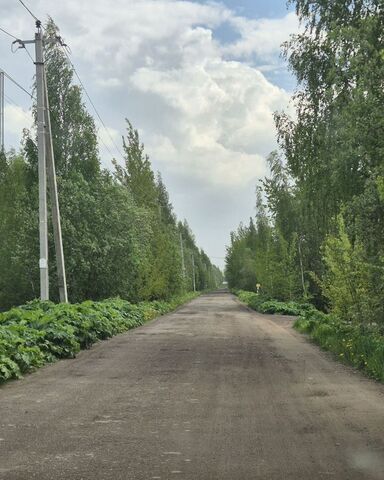 земля Мурманское шоссе, 6 км, Колтушское городское поселение фото