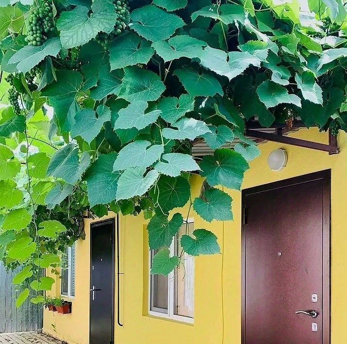 квартира г Ростов-на-Дону р-н Октябрьский ул Цезаря Куникова 6а фото 10