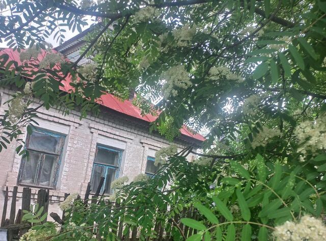 п Новое Доскино Парк культуры 5-я линия фото
