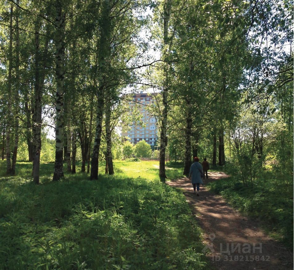 квартира г Ярославль р-н Дзержинский ул Спасская 2 фото 3