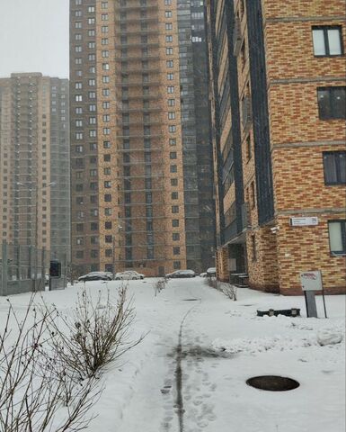 Парнас метро Парнас Толубеевский пр., 36к 3 фото
