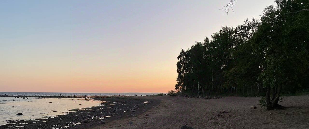 земля г Санкт-Петербург п Репино пер 2-й Лесной 4б р-н Курортный фото 1