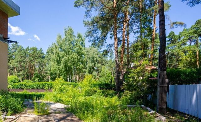 6 км, дачно-строительный кооператив Буран, Красногорск, Рублёво-Успенское шоссе фото