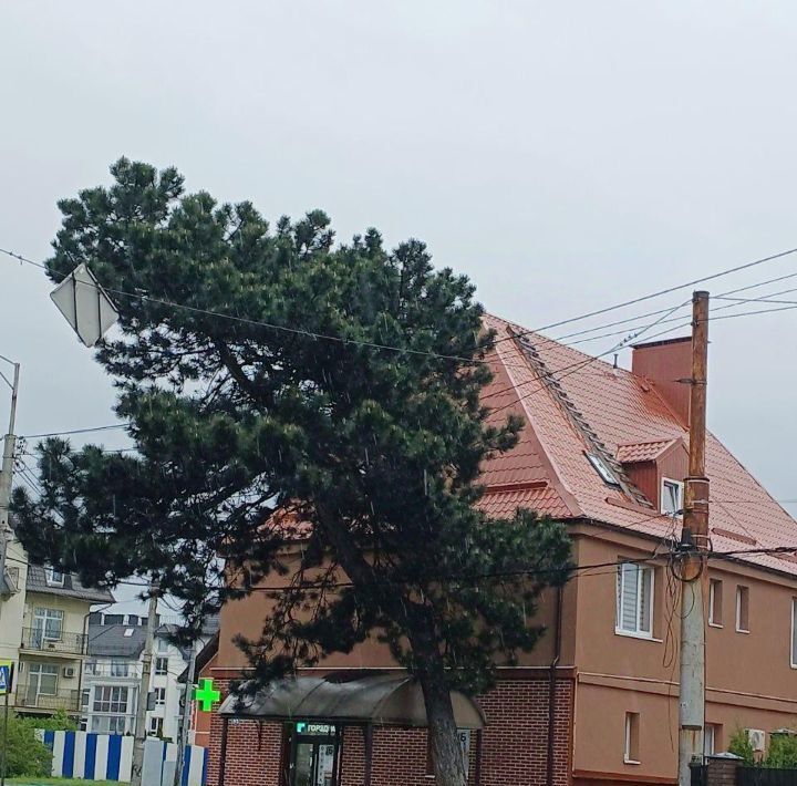 комната г Калининград р-н Центральный пр-кт Победы 65 фото 4