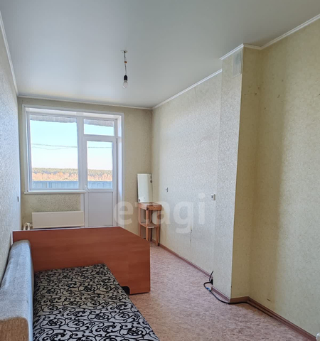 Зеленый клин фото