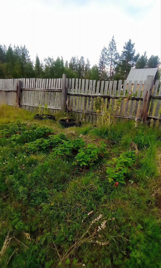 земля г Мончегорск снт Голубая лагуна фото 3