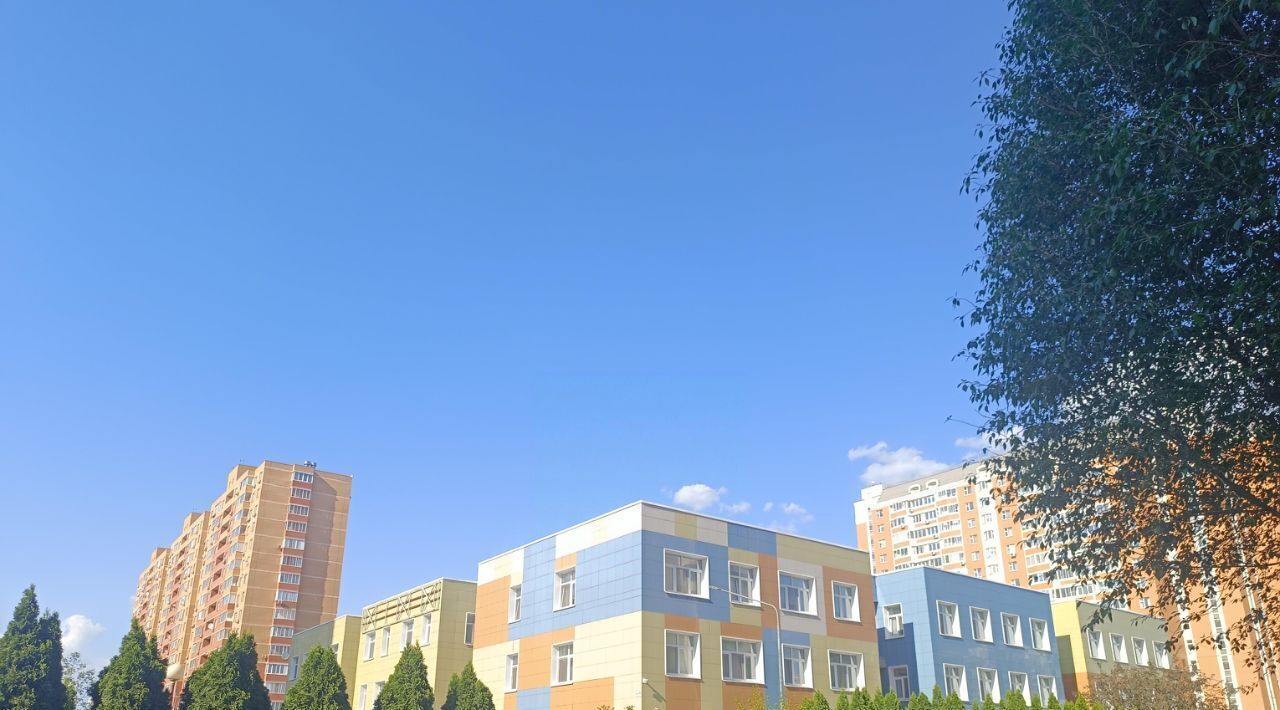 квартира г Видное ул Завидная 4 Царицыно фото 30