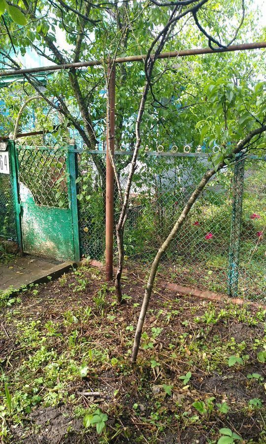 дом р-н Апшеронский г Апшеронск ул Калинина 64 Апшеронское городское поселение фото 5