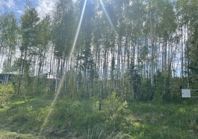 83 км, коттеджный пос. Приокский парк, Ступино, Каширское шоссе фото
