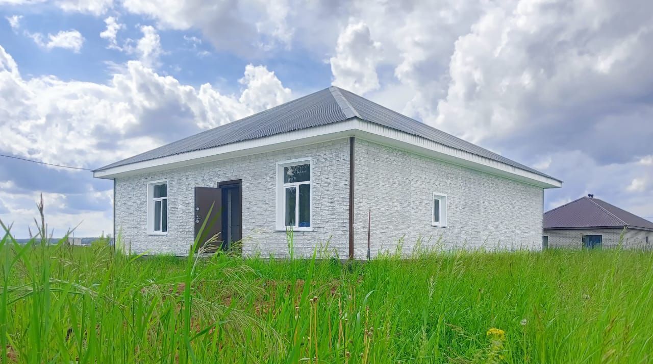 дом г Барнаул п Черницк ул. Белоствольная фото 3