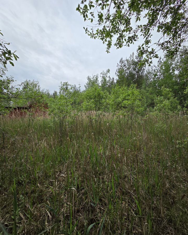 земля городской округ Богородский г Ногинск снт Титан 29 км, Воровского, Носовихинское шоссе фото 5