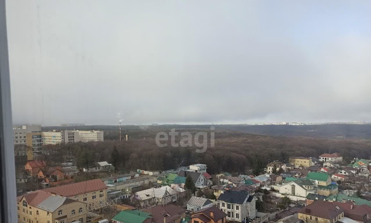 квартира г Ставрополь р-н Промышленный ул Ленина 351 24-й м-н фото 12