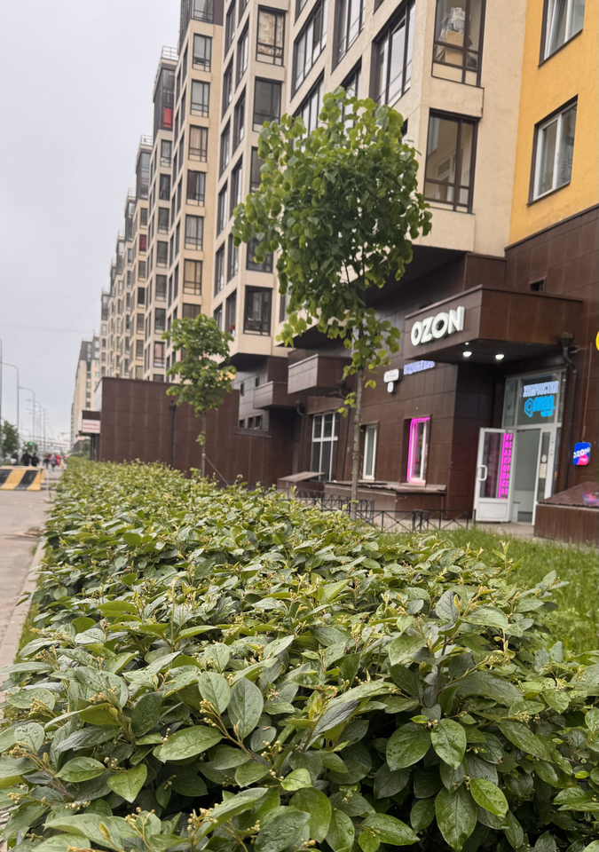 квартира г Санкт-Петербург пр-кт Ветеранов 171/5 ЖК Солнечный округ Сосновая Поляна фото 14